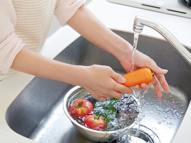 Higienização dos Alimentos