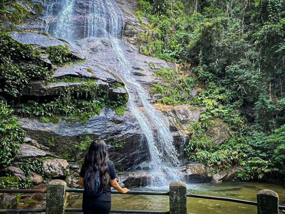 Floresta da Tijuca