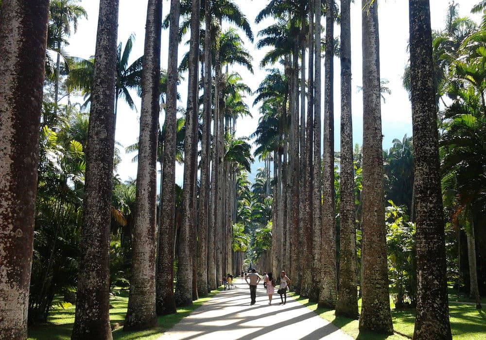 Passeios Culturais e Eventos